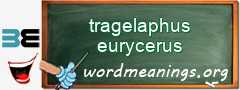 WordMeaning blackboard for tragelaphus eurycerus